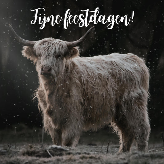 10 prachtige wenskaarten 2025