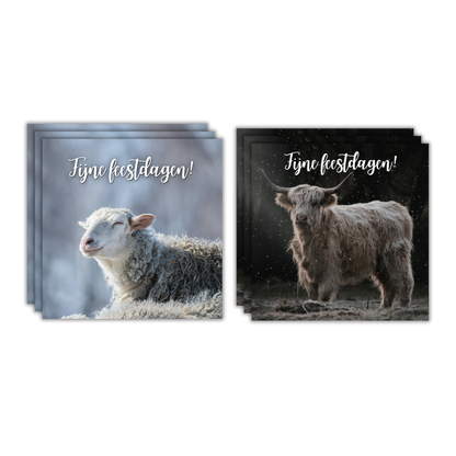 10 prachtige wenskaarten 2025