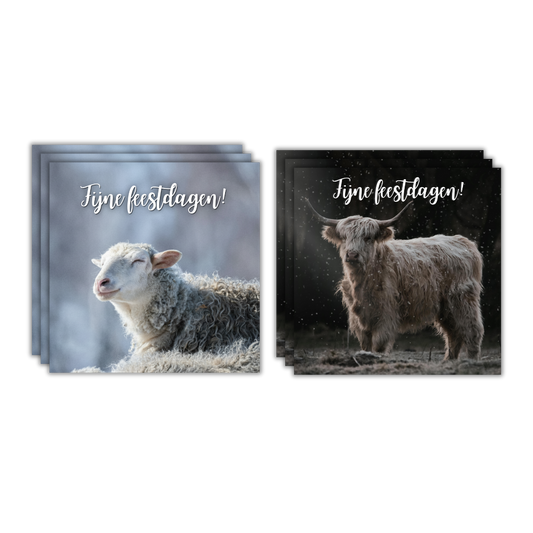 10 prachtige wenskaarten 2025