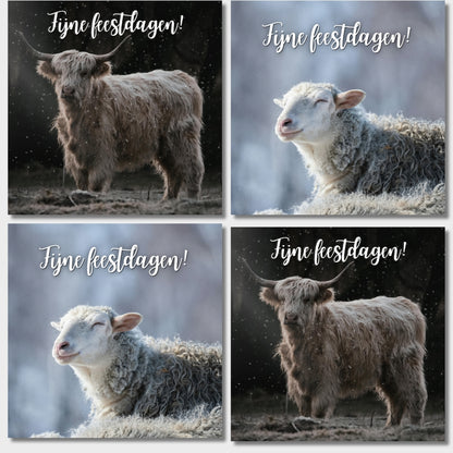 10 prachtige wenskaarten 2025