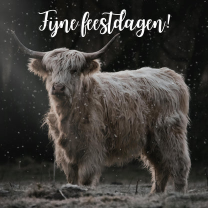 10 prachtige wenskaarten 2025