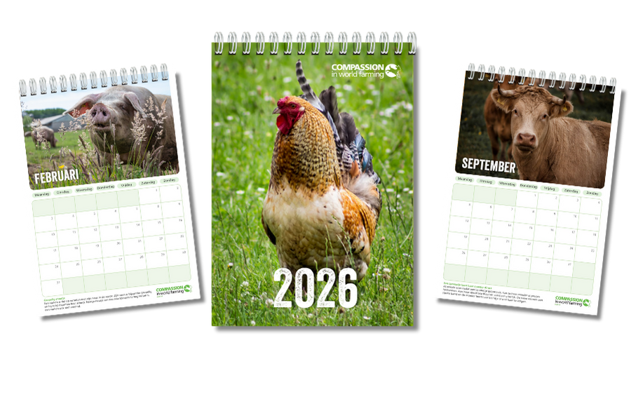 Mooie jaarkalender met dieren 2026