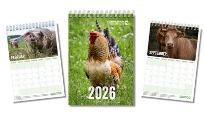 Mooie jaarkalender met dieren 2026