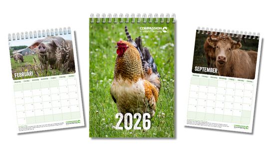 Mooie jaarkalender met dieren 2026