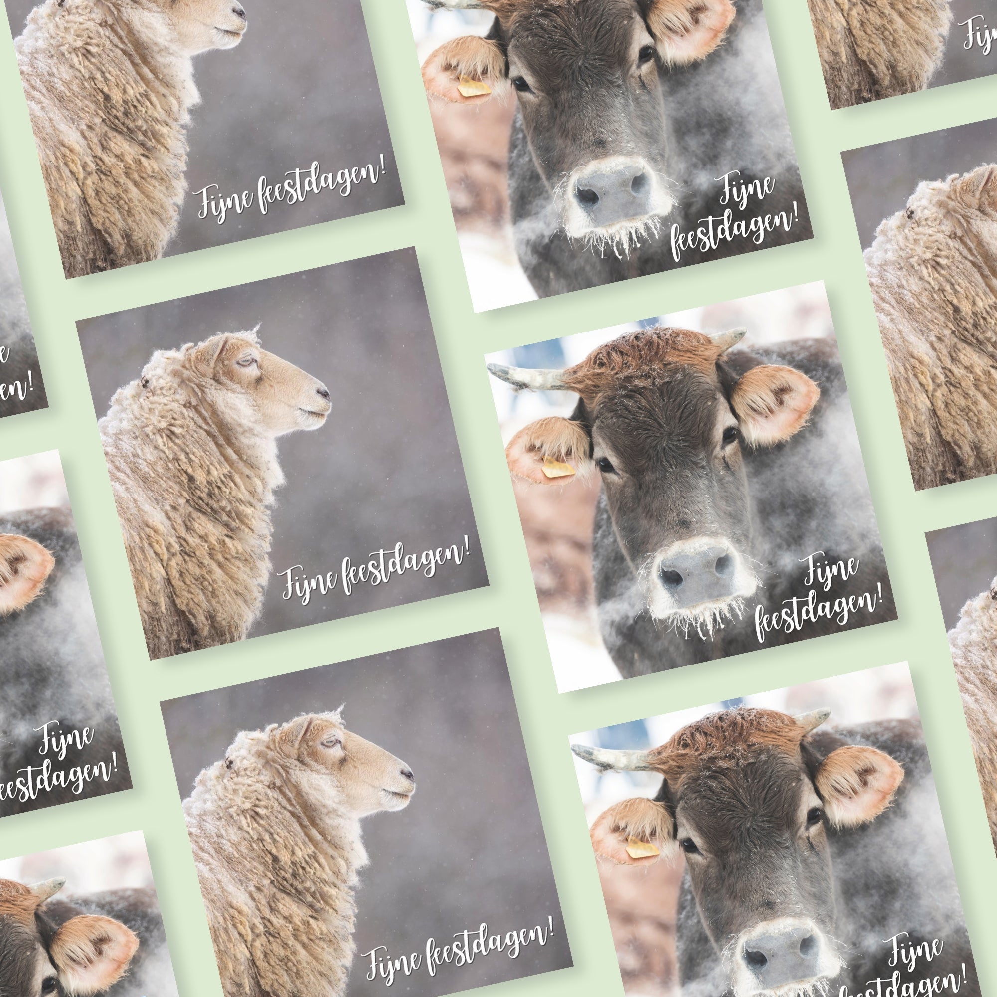 Compilatie van wenskaarten van een koe en een schaap in de sneeuw met de tekst: Fijne Feestdagen!