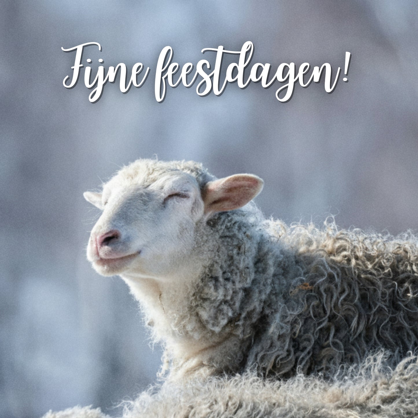 10 prachtige wenskaarten 2025