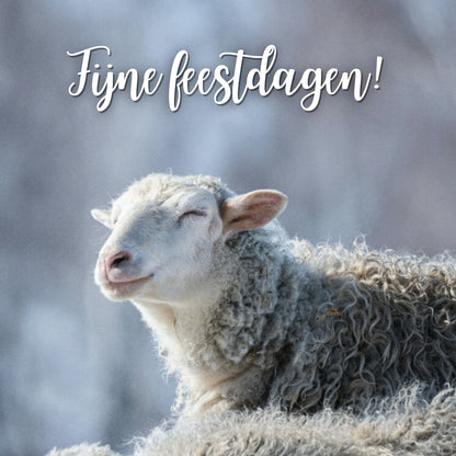 10 prachtige wenskaarten 2025